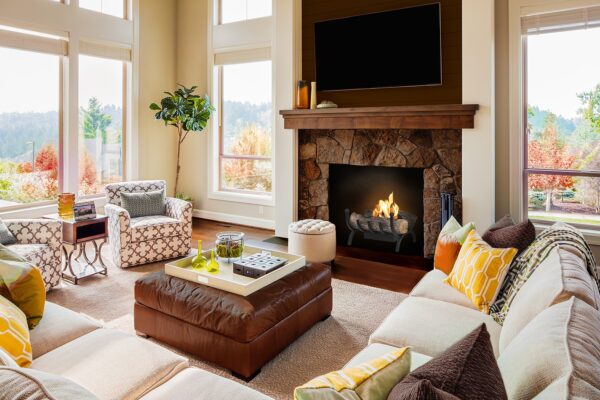 WILDWOOD Traditional Bioethanol Grate Fire